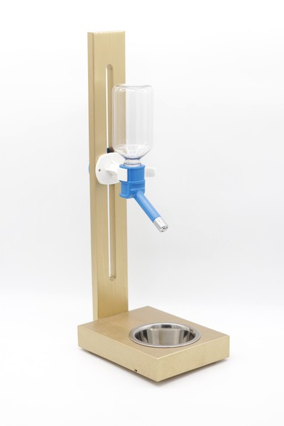 Złote poidło na stojaku drewnianym