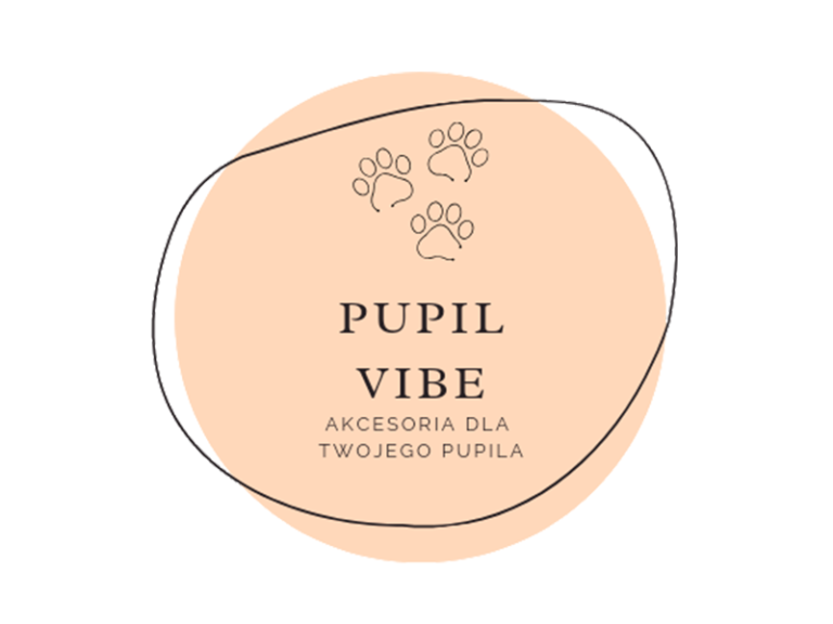 Logo Pupil Vibe